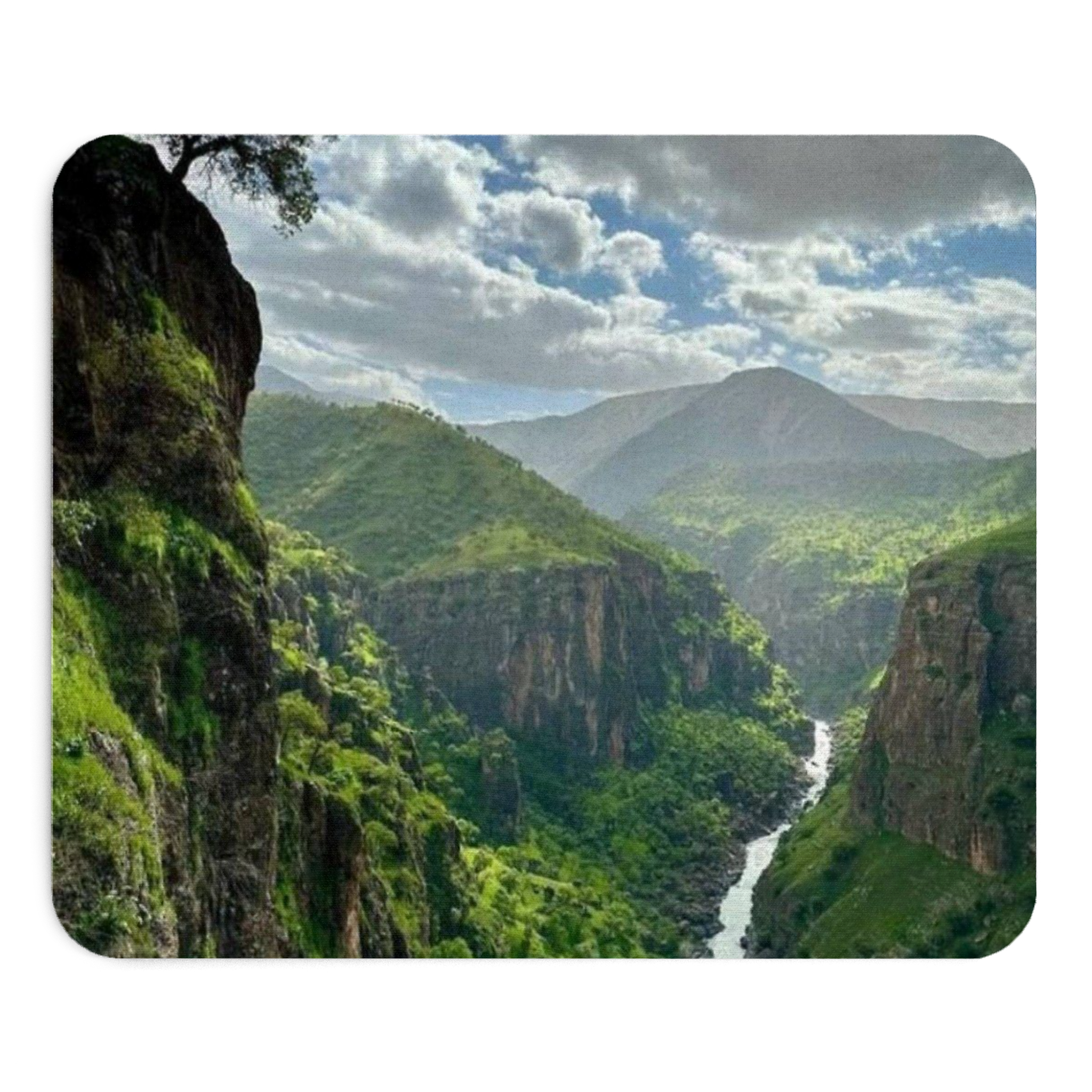 پدموس طبیعتنمای روبرو3