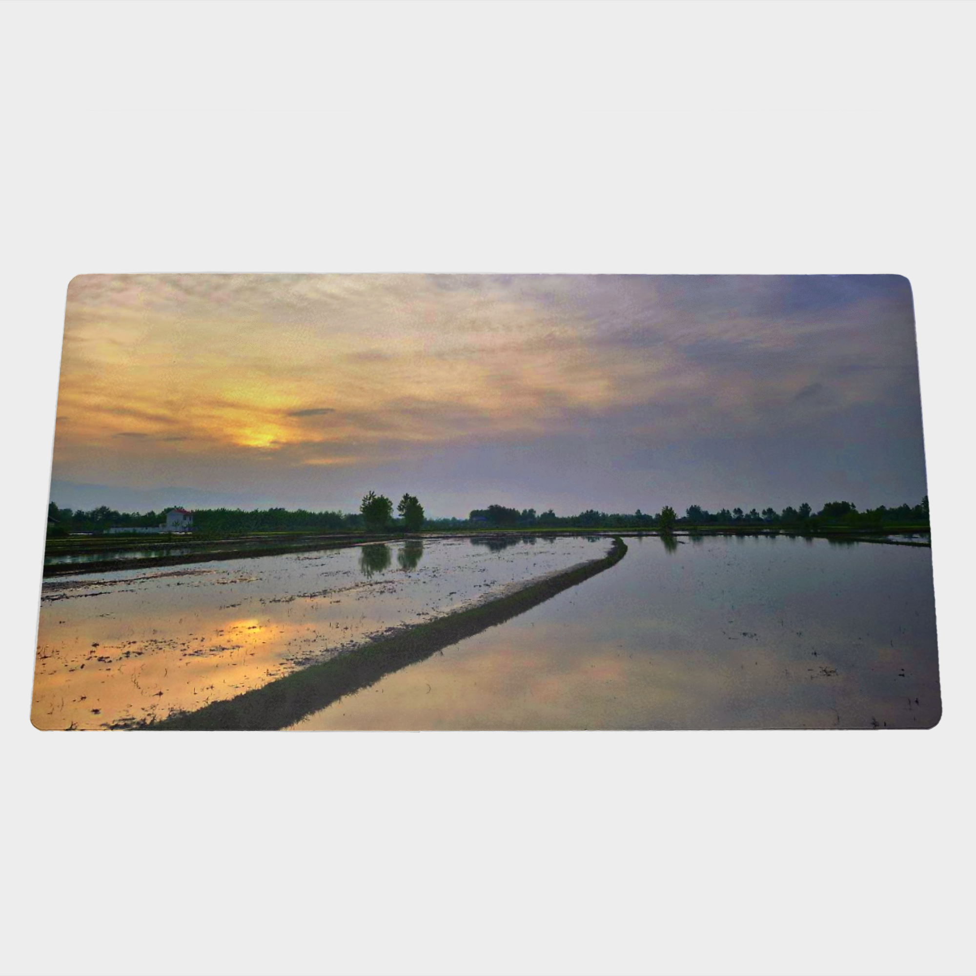 دسک پدنمای ۳