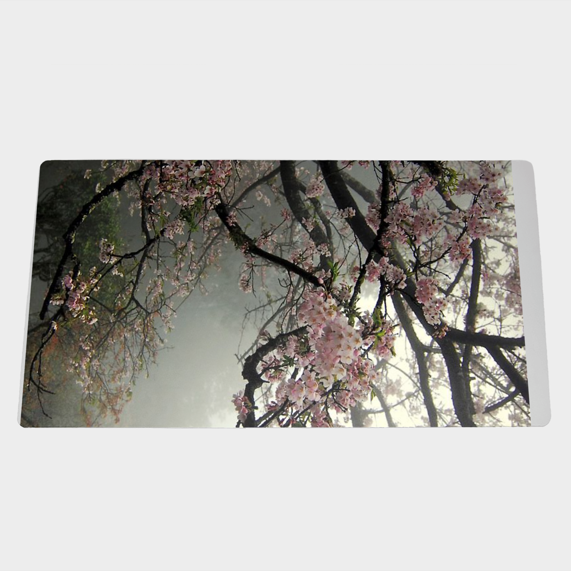 طرح گل ساکورانمای ۳