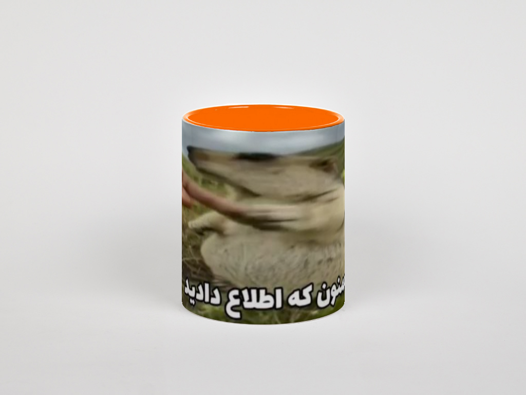 لیوان ممنون که اطلاع دادیدنمای روبرو - رنگ نارنجی0