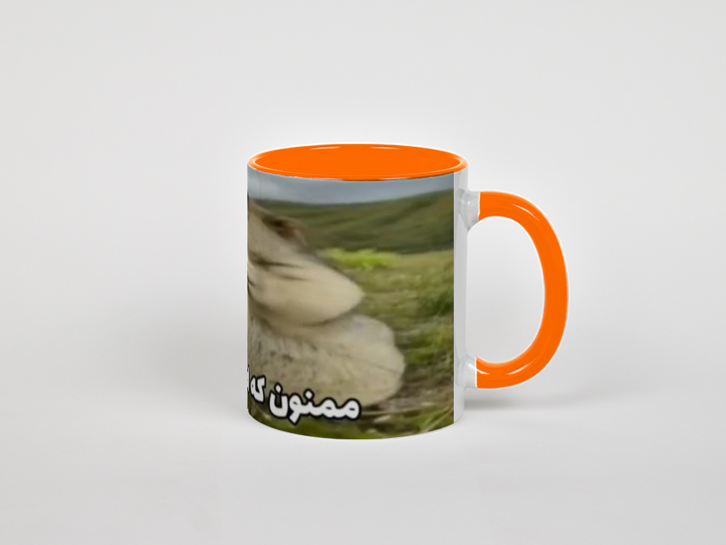 لیوان ممنون که اطلاع دادیدنمای راست  - رنگ نارنجی3