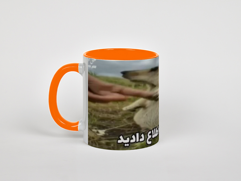 لیوان ممنون که اطلاع دادیدنمای چپ - رنگ نارنجی2