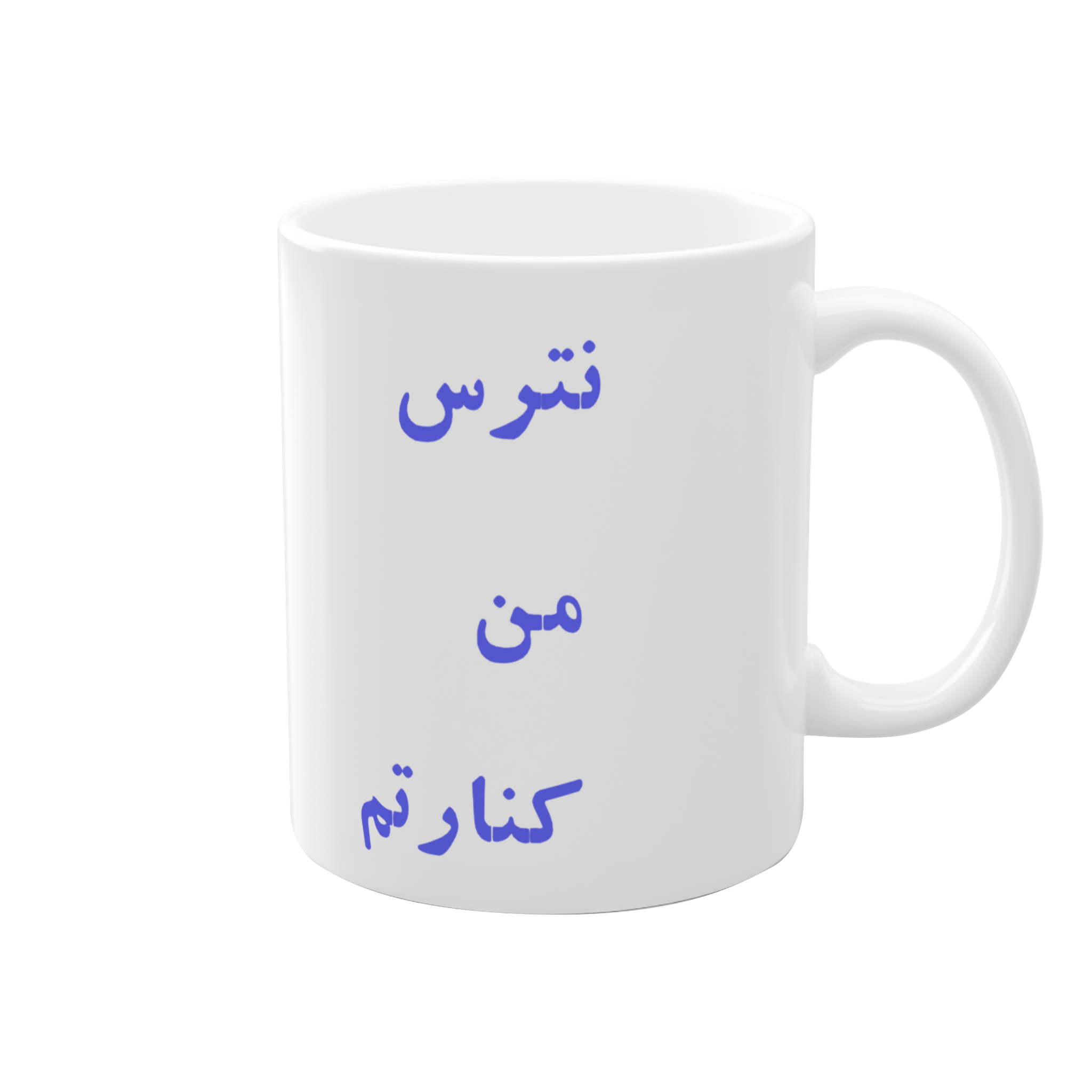 ماگ بیسکنمای راست