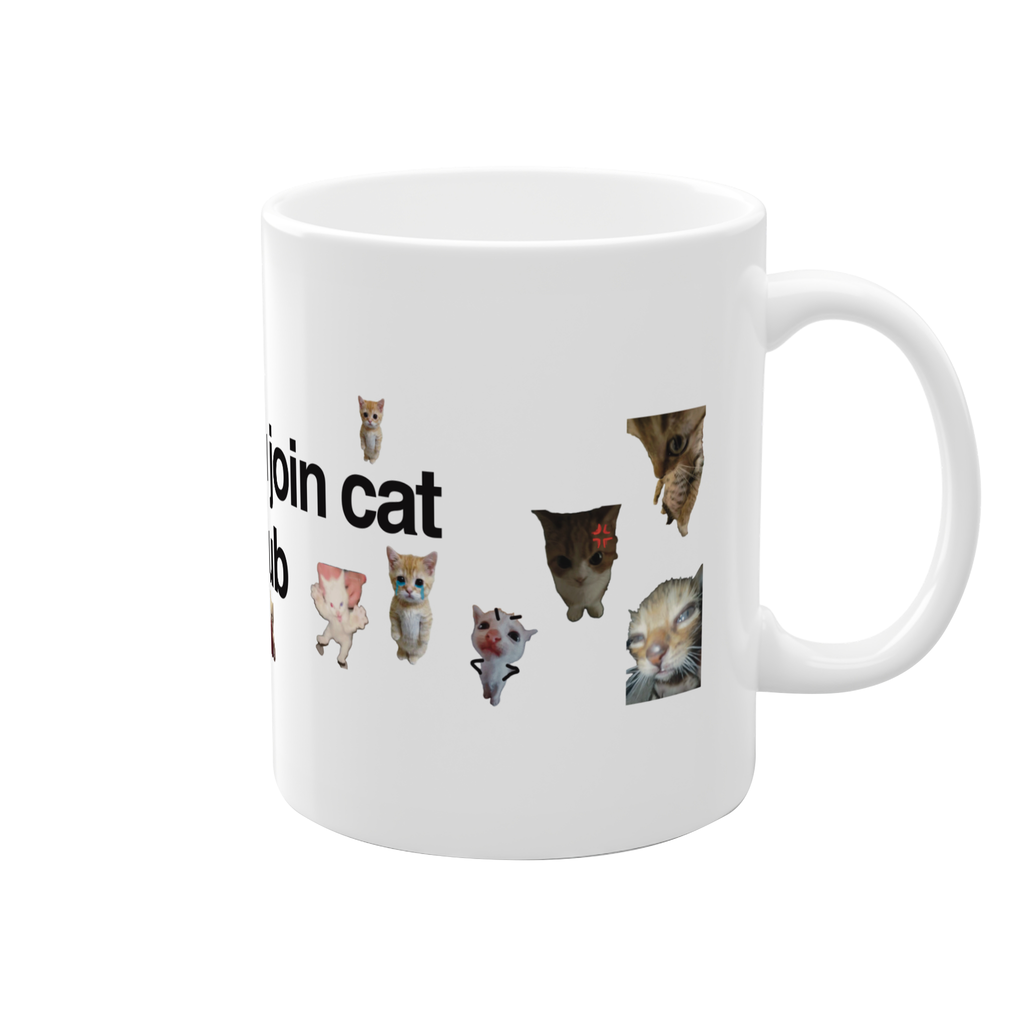 I wanna join cat clubنمای راست3