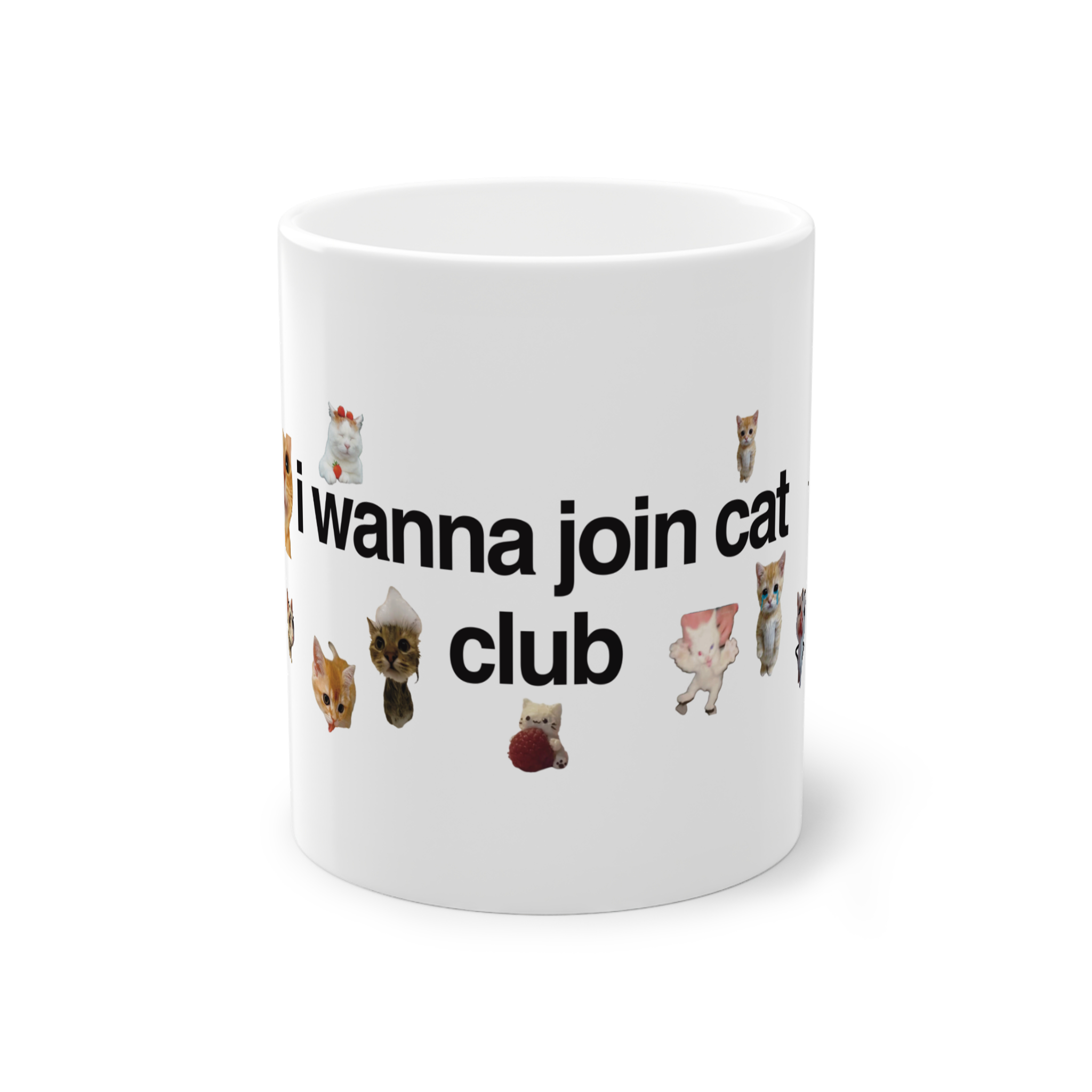 I wanna join cat clubنمای روبرو2