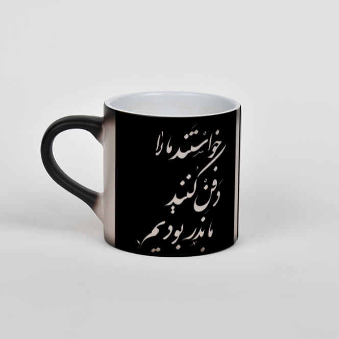 ماگنمای چپ1