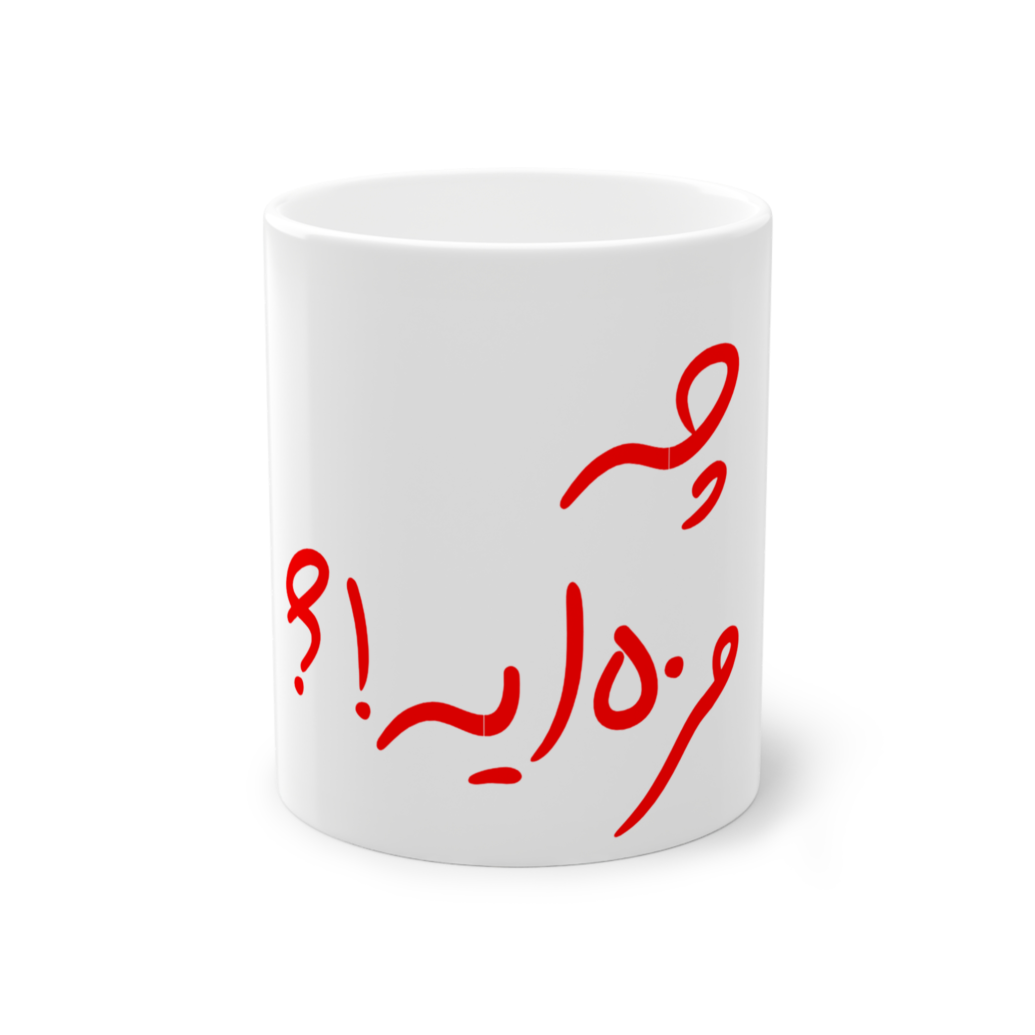 ماگنمای روبرو2