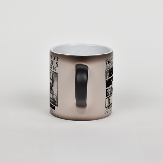 طرح هری پاترنمای پشت2